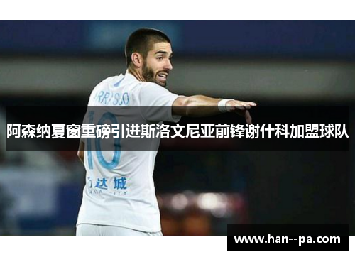 阿森纳夏窗重磅引进斯洛文尼亚前锋谢什科加盟球队
